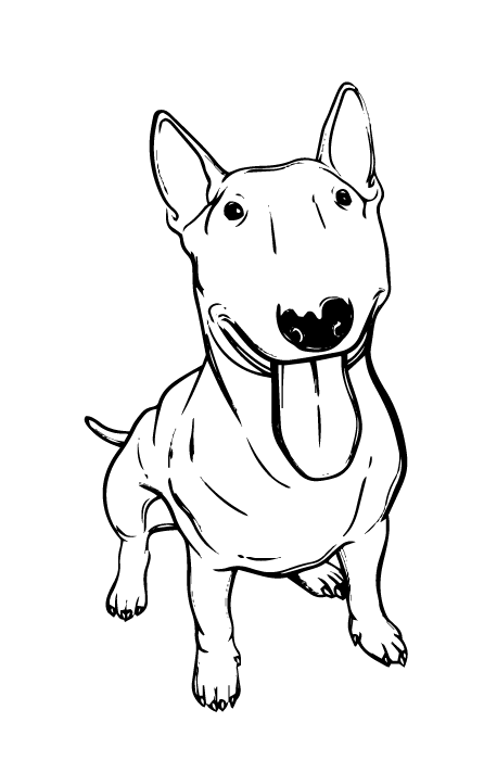 Бультер'єр 1 